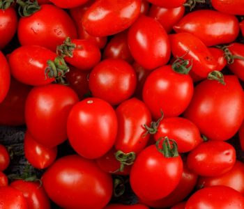 tomatoes_wordpress_800px